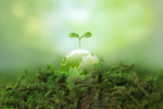 paysagiste-chartres-entretien-bien-choisir-son-paysagiste-fontaine-la-guyon.ecologie-professionnel.png